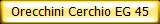 Orecchini Cerchio EG 45