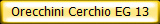 Orecchini Cerchio EG 13